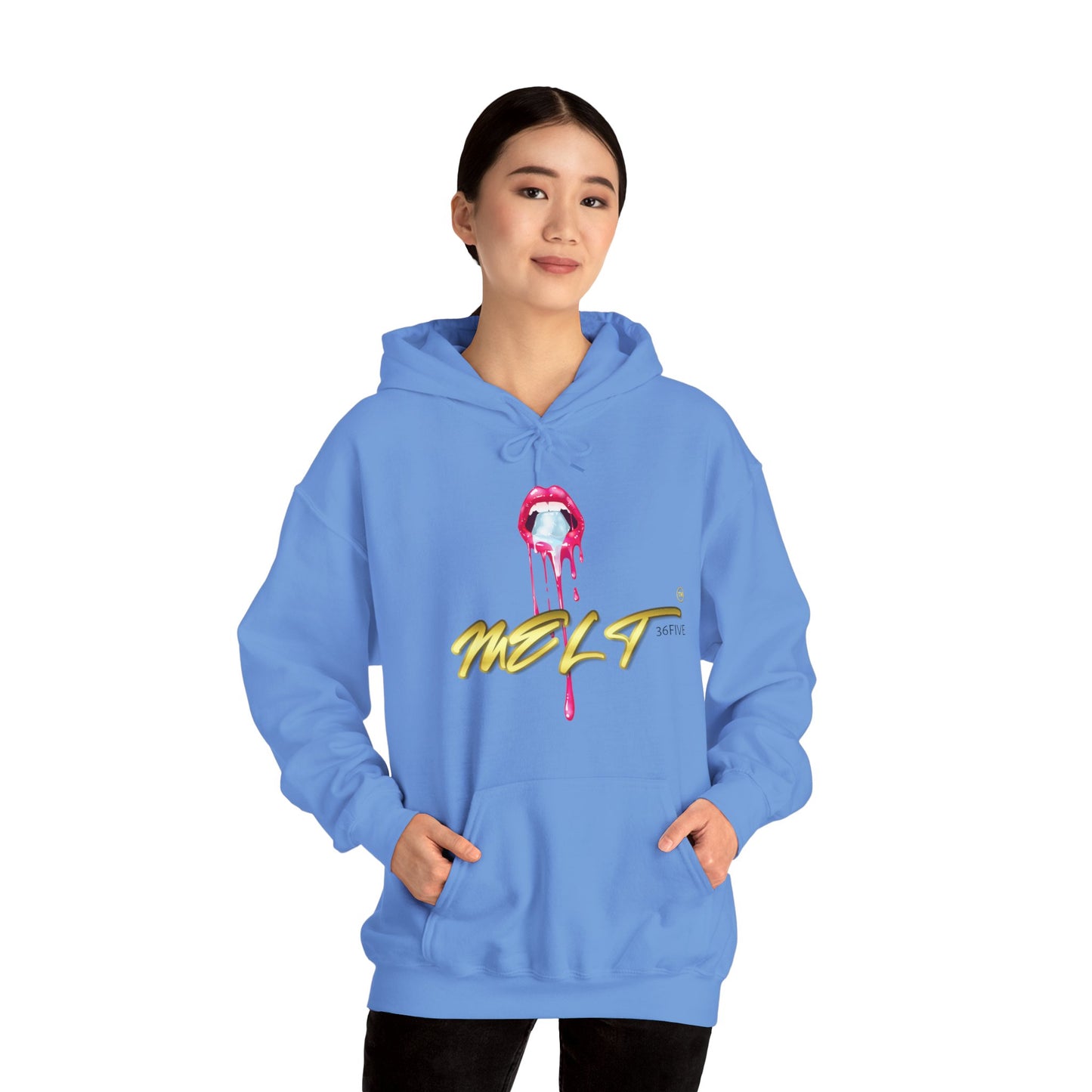Ice MELT™ Heavy Hooded Sweatshirt