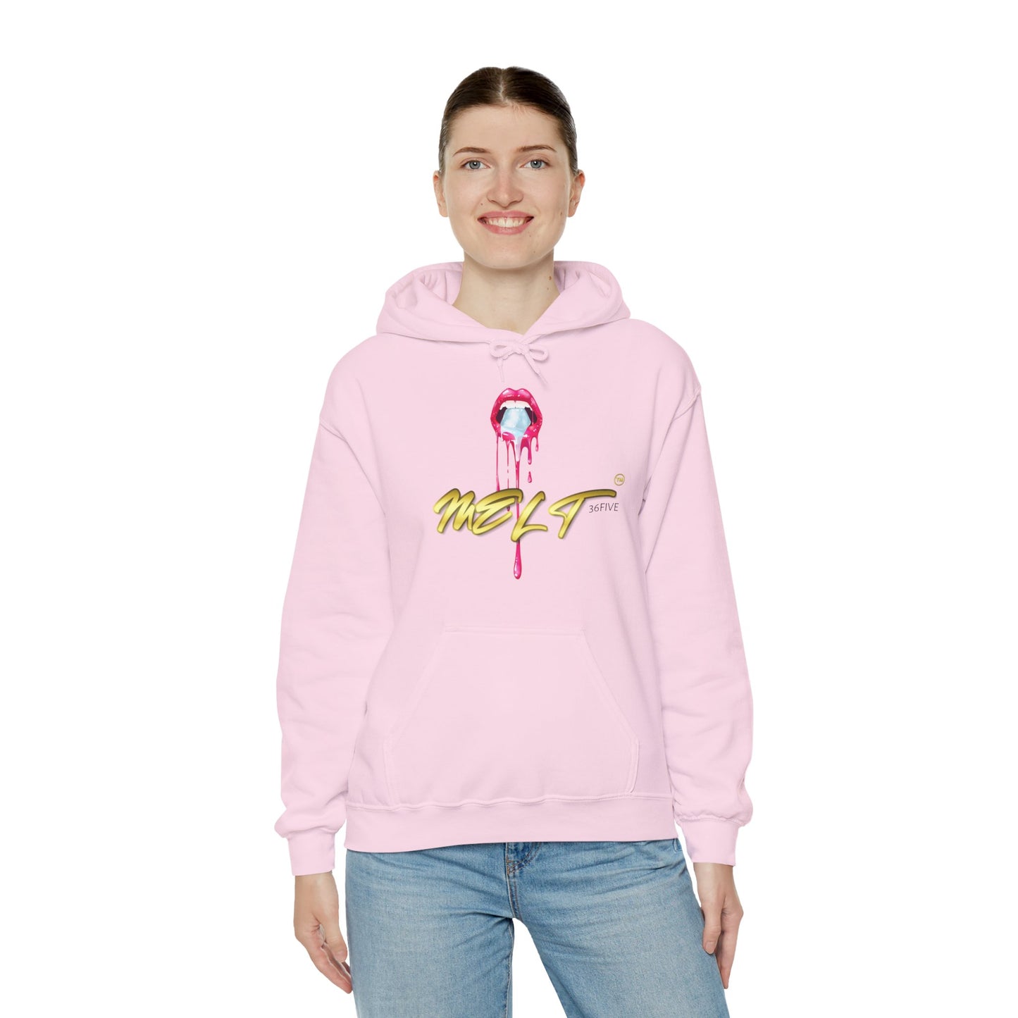 Ice MELT™ Heavy Hooded Sweatshirt