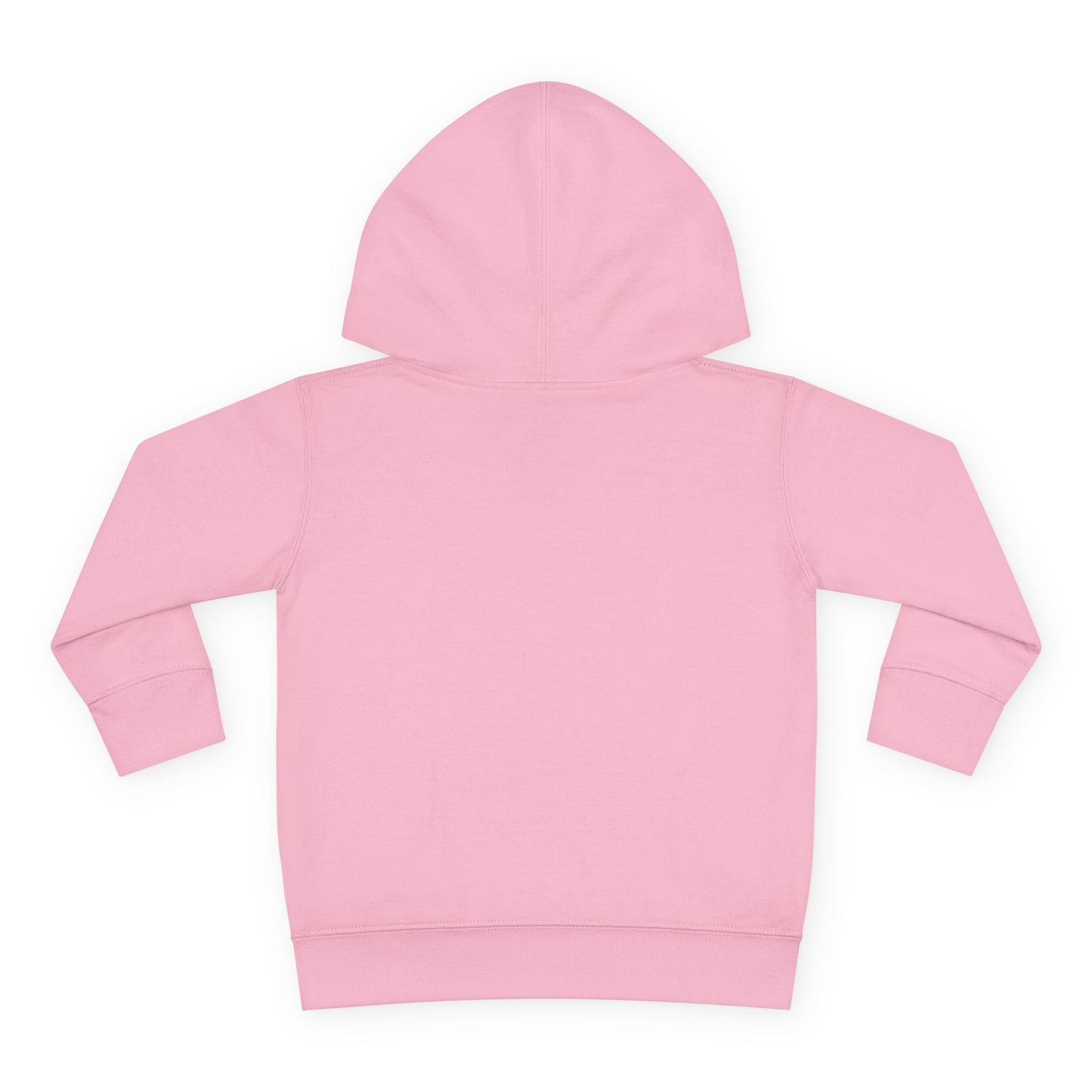 Big Goals - Toddler Pullover Fleece Hoodie