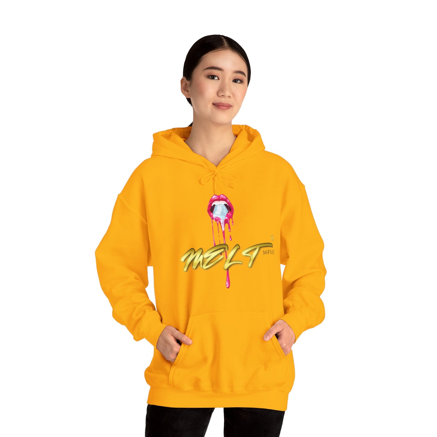 Ice MELT™ Heavy Hooded Sweatshirt