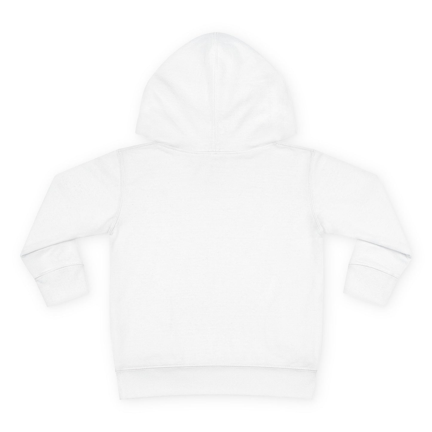 Big Goals - Toddler Pullover Fleece Hoodie