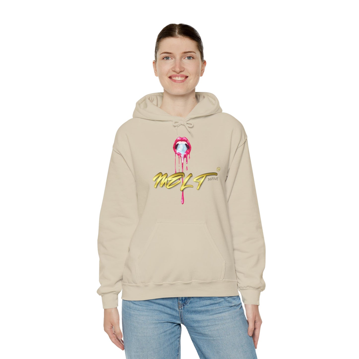 Ice MELT™ Heavy Hooded Sweatshirt