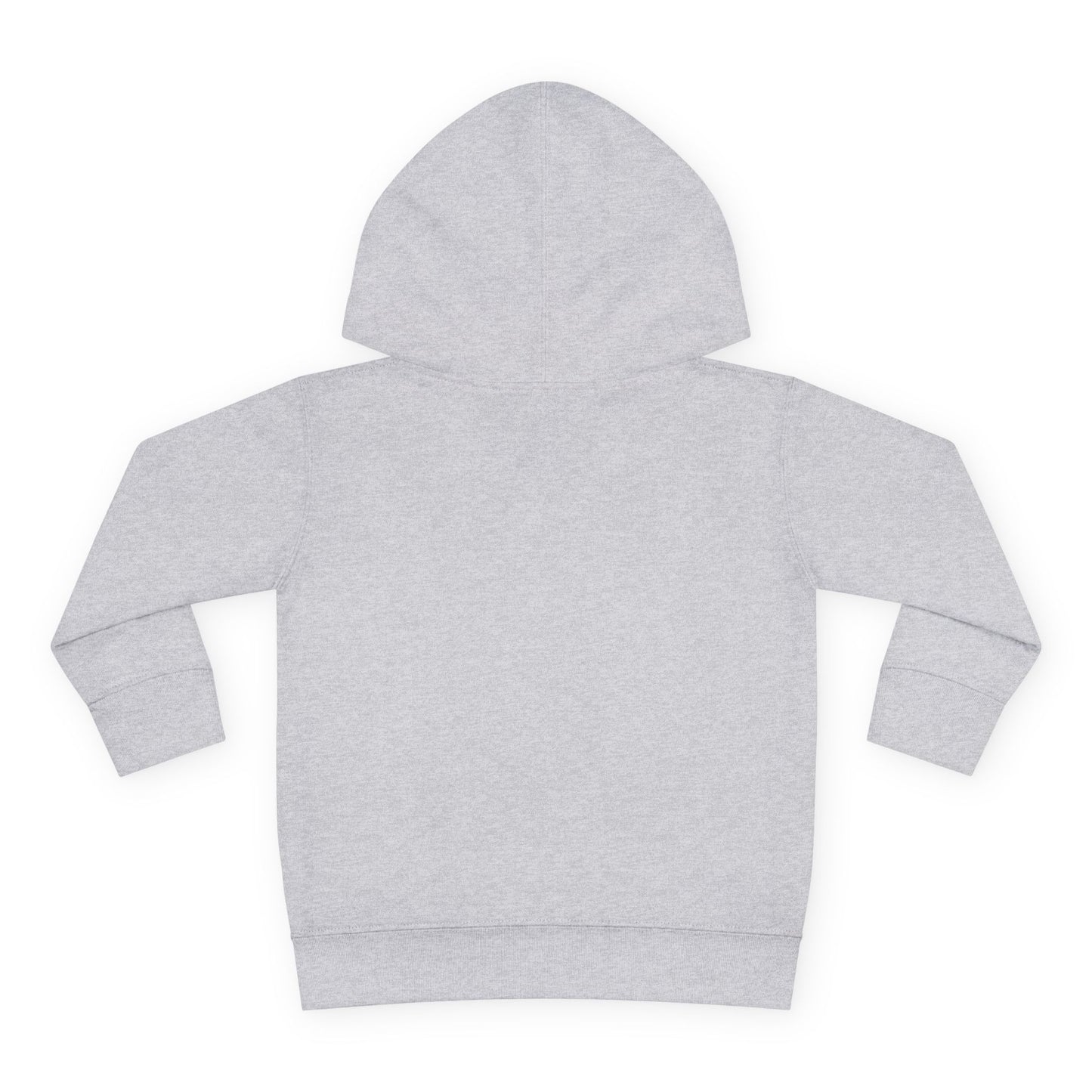 Small BUT Mighty Toddler Pullover Fleece Hoodie