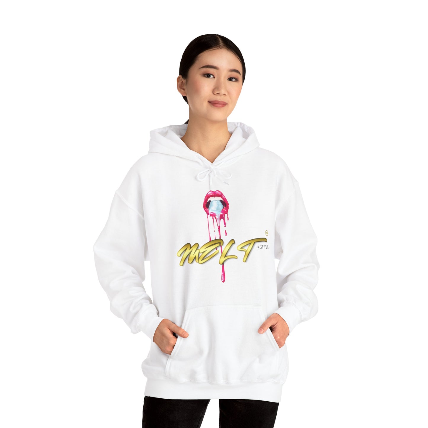 Ice MELT™ Heavy Hooded Sweatshirt
