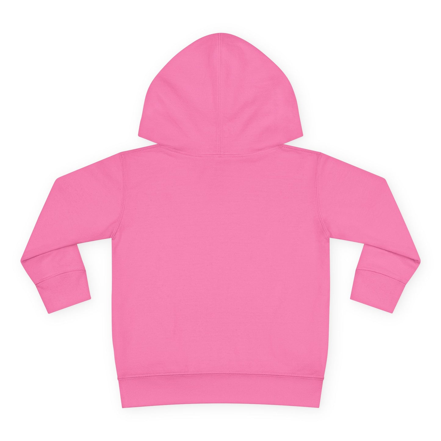 Big Goals - Toddler Pullover Fleece Hoodie