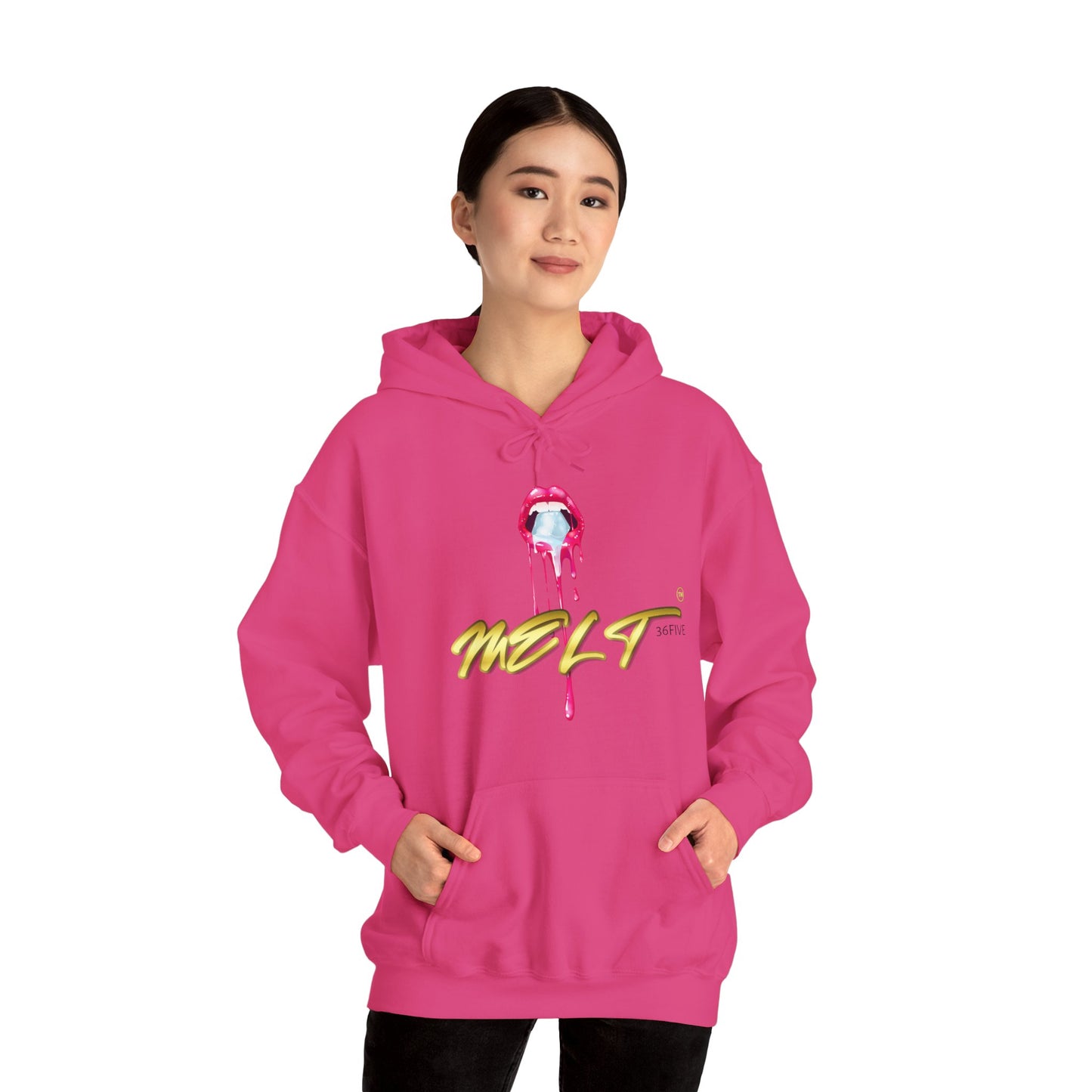 Ice MELT™ Heavy Hooded Sweatshirt