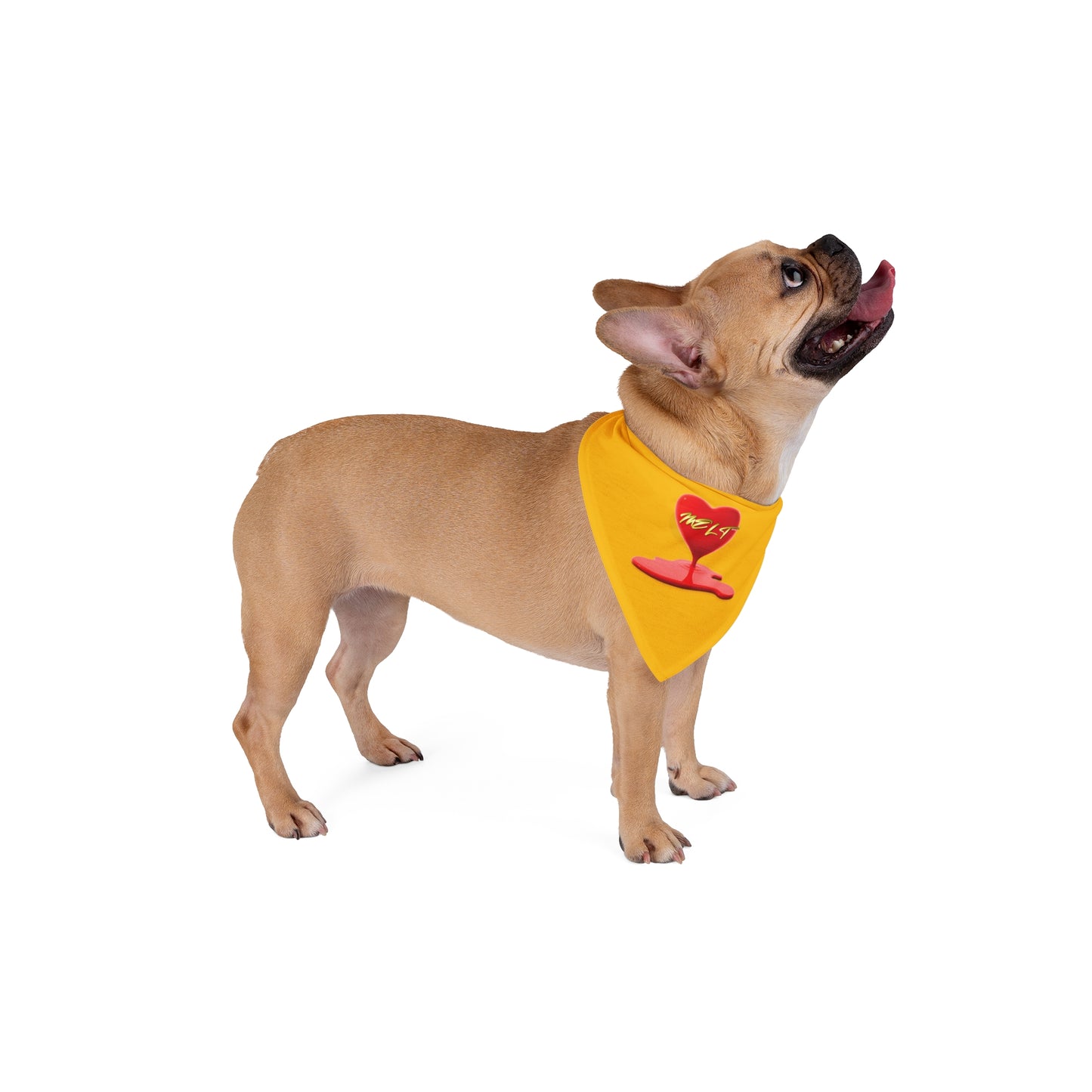 HEART MELT™ Pet Bandana