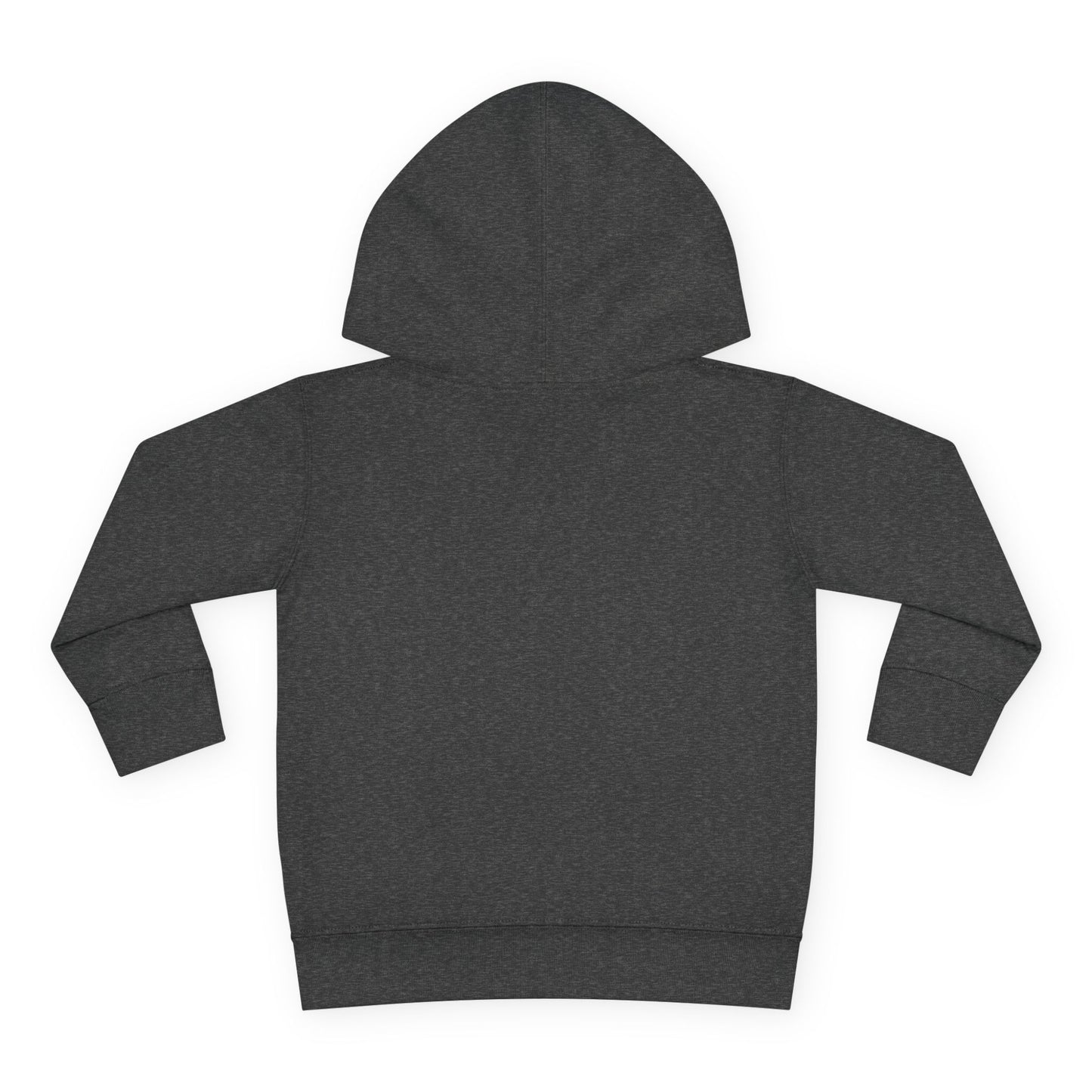 Big Goals - Toddler Pullover Fleece Hoodie