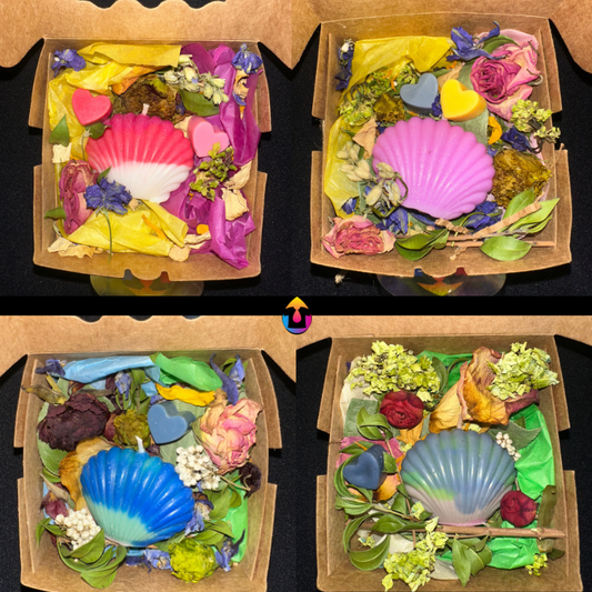 Shell Candle | Custom Color & Scent