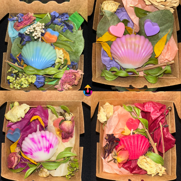 Shell Candle | Custom Color & Scent
