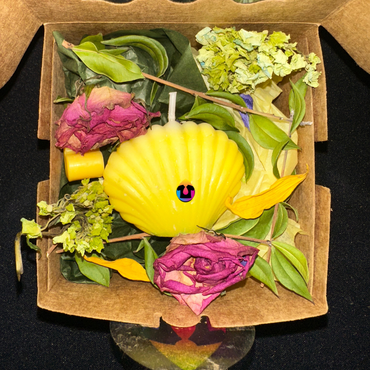 Shell Candle | Custom Color & Scent