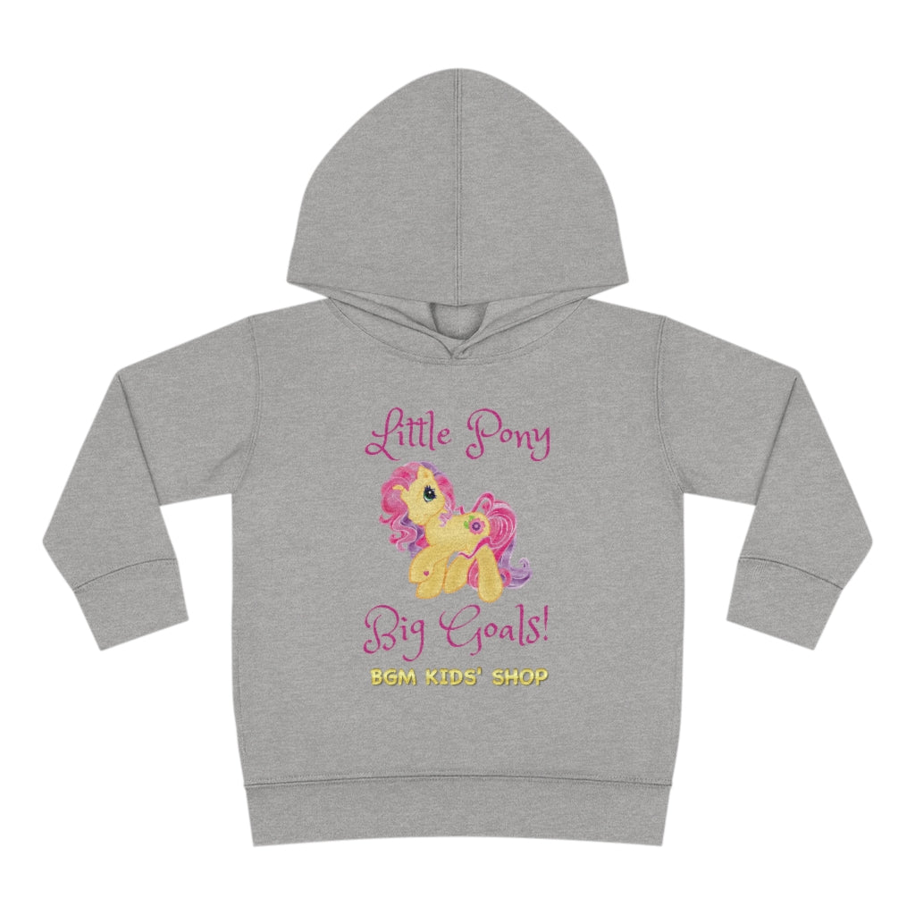 Big Goals - Toddler Pullover Fleece Hoodie