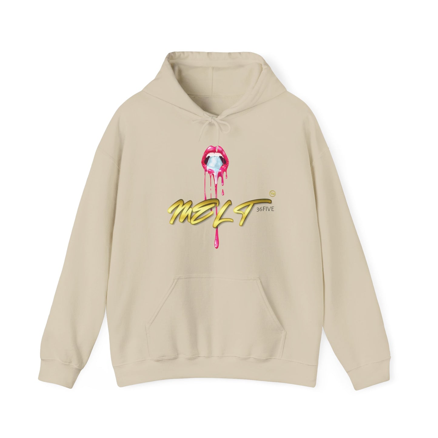 Ice MELT™ Heavy Hooded Sweatshirt