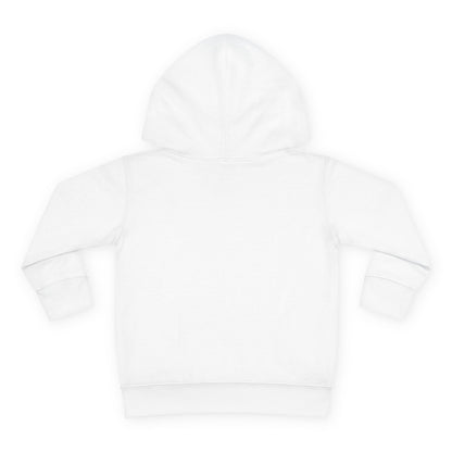 Big Goals - Toddler Pullover Fleece Hoodie