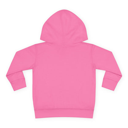 Big Goals - Toddler Pullover Fleece Hoodie
