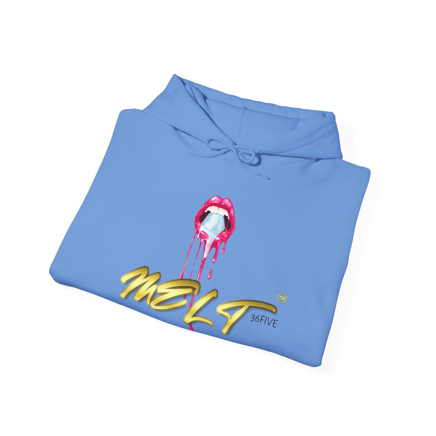 Ice MELT™ Heavy Hooded Sweatshirt